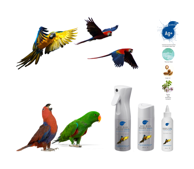 Pet Health Line - parrot